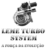 Logo Leme Turbo System